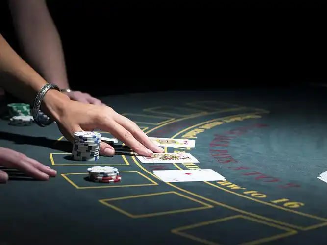 Evolution live casino page visual for ok bat users in Bangladesh